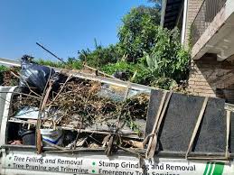 Best Furniture Removal  in Pahrump, NV