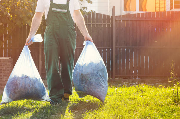 Best Attic Cleanout  in Pahrump, NV