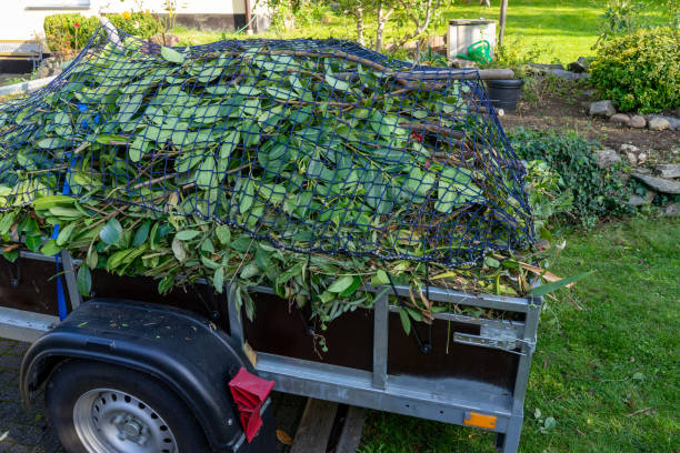 Trusted Pahrump, NV Junk Removal Services Experts